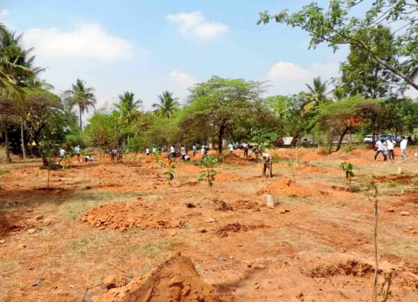 Peace Ride: Improving green cover in HSR Layout