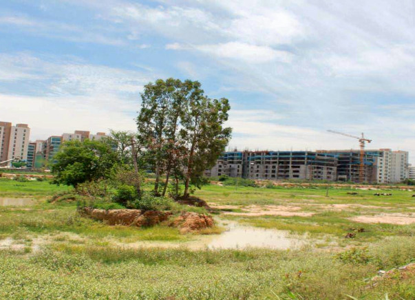 Peace Ride: Soulkere Lake Rejuvenation, Sarjapur Road