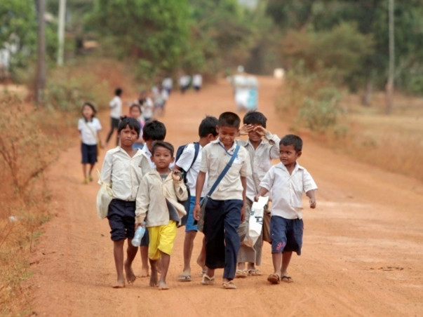 Donate School Bus To Feed Children