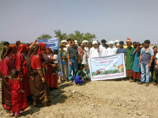 Save the Mangroves of Kutch from Salt Making Industries