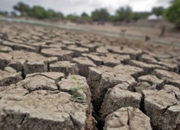 I am fundraising to help Drought affected farmers from Marathwada