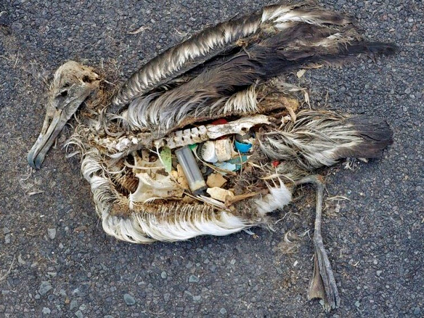 Support 'The Planet' If You Care About Our Planet
