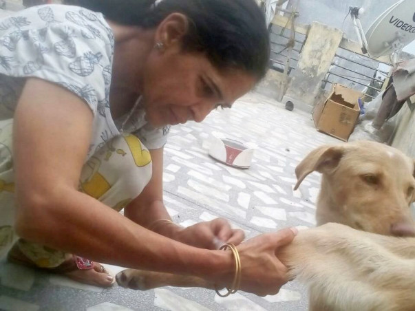 Help Anita Save Stray Dogs In Delhi