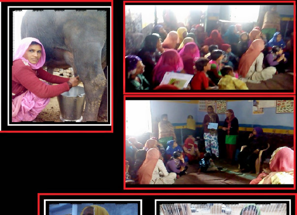 Project Naari - Support the women of Dhigarla