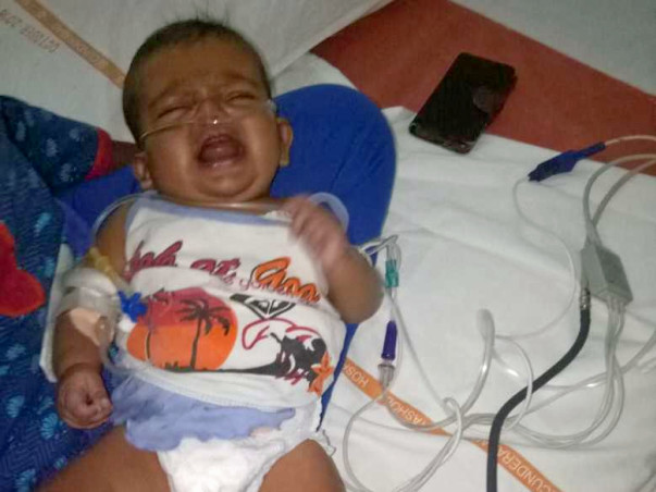 Please Help Priscilla!