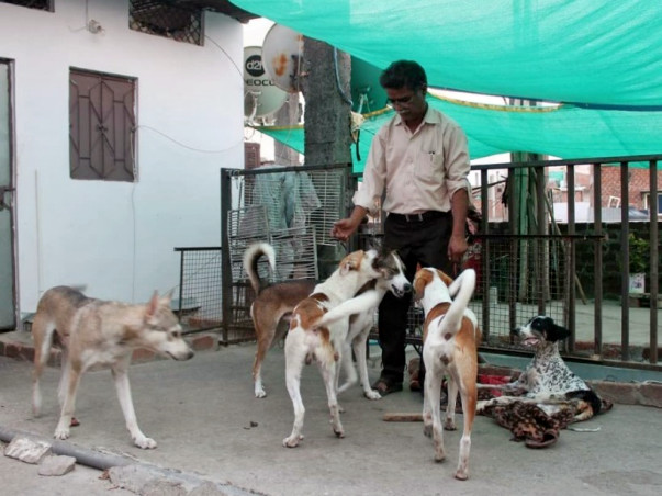 Help Shahrukh To Provide Best Medical Treatment For Animals In Need