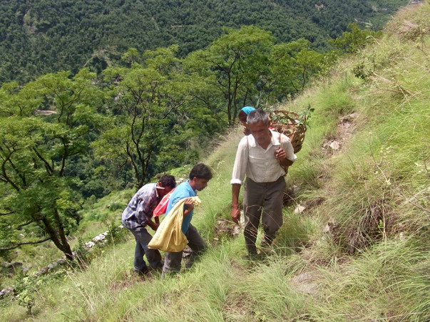 Traditional Water Resource Recharge in Remote Chamoli Village