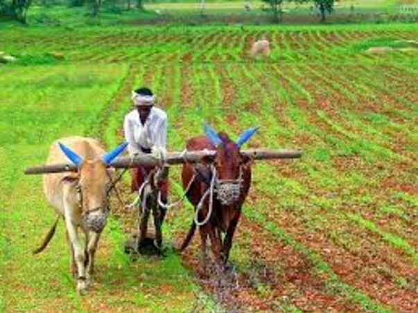 I am fundraising to start organic fertilizers industry and profit will be utilized to educate people about organic farming.