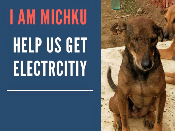 Help The Animals In Earthlings Trust Fight The Heat