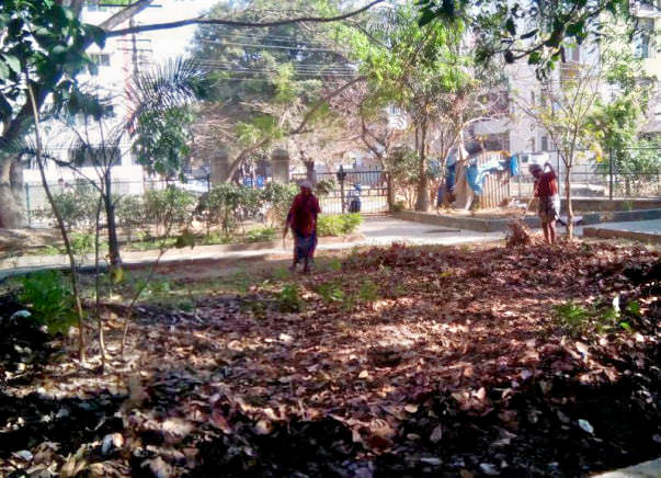 Bengaluru Marathon: Shredding and composting of leaves in HSR Layout