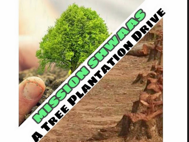 Plantation Drive
