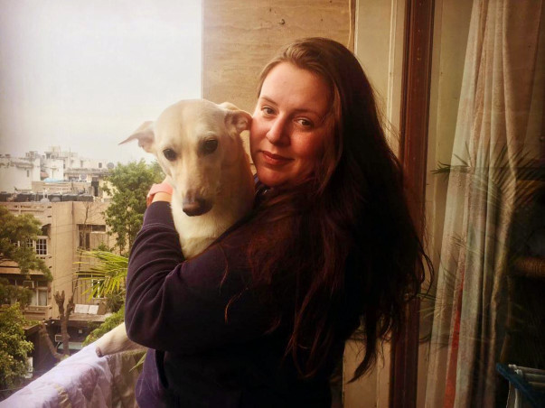 Help My Friend Bring her Dogs Back