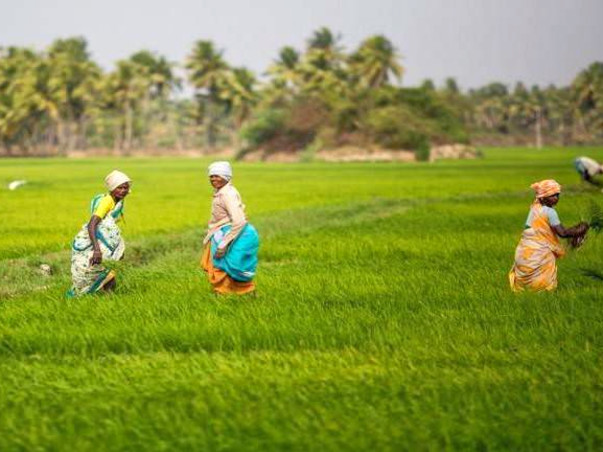 Collective farming