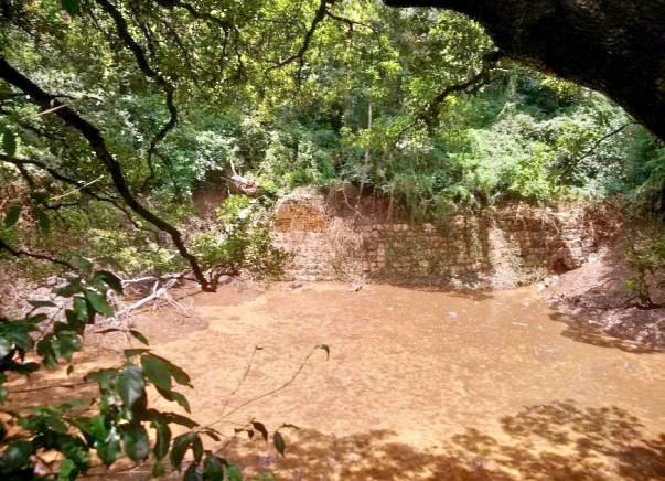 Peace Ride: Rejuvenation of Patalaganga Pond