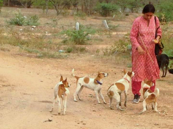 Help PAWS Andhra Pradesh set up a Speciality Animal Hospital