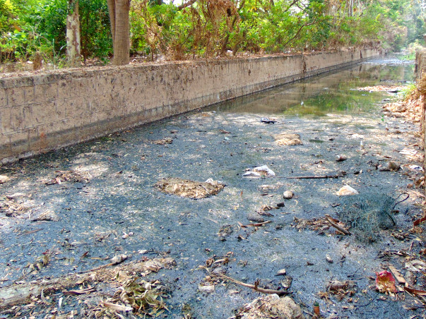 Nandi Hillathon: Restoration of Chellakere Lake