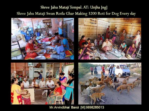 Help Us Provide Help to Street Dogs