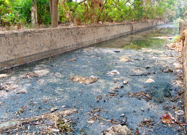 Nandi Hillathon: Restoration of Chellakere Lake