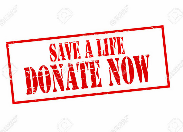 Support Durgesh Vaghamshi's Fight Against Blood Cancer!