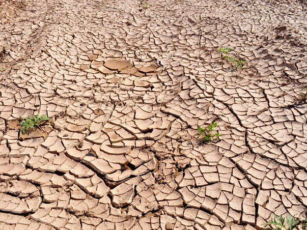Bring relief to drought affected regions of Maharashtra