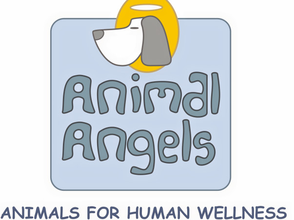 Animal Assisted Therapy For Special People