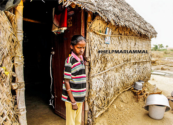 HELP SAVE A BLOOMING FLOWER FROM WILTING (MARIAMMAL)
