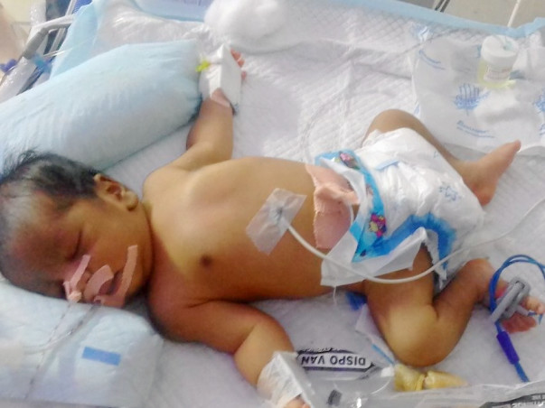 Support Baby Of Suma
