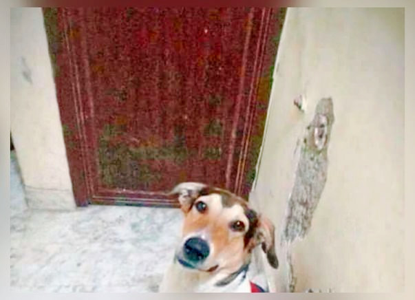 Help Nona Reach His New Family