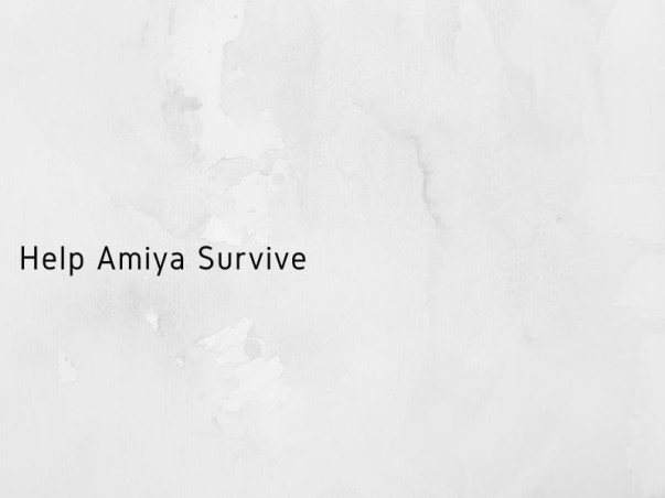 Help Amiya Survive