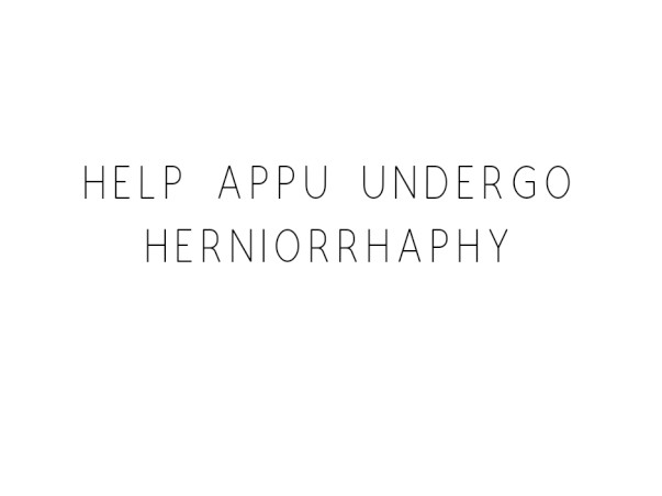 Help Appu Undergo Herniorrhaphy