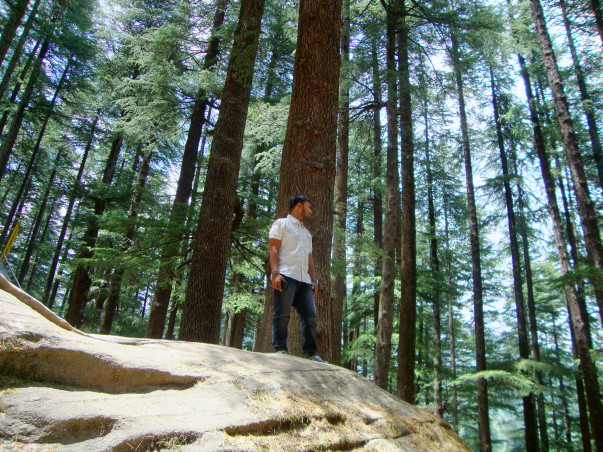 Travel with Darshan