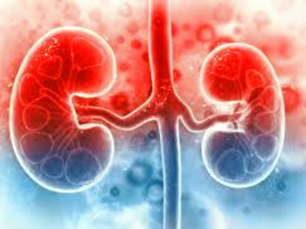 Help my father fight Kidney Damage