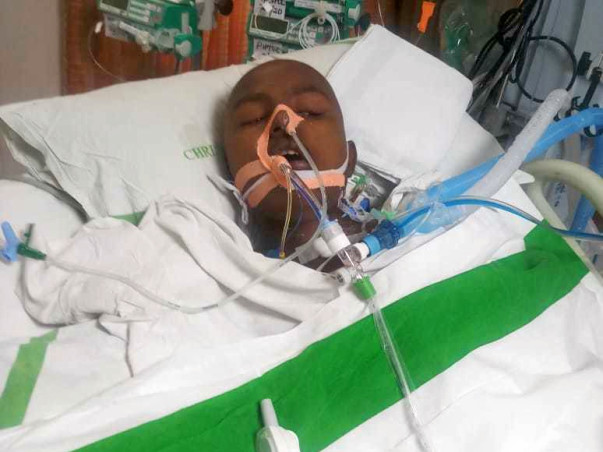 Help Shibil to fight cancer