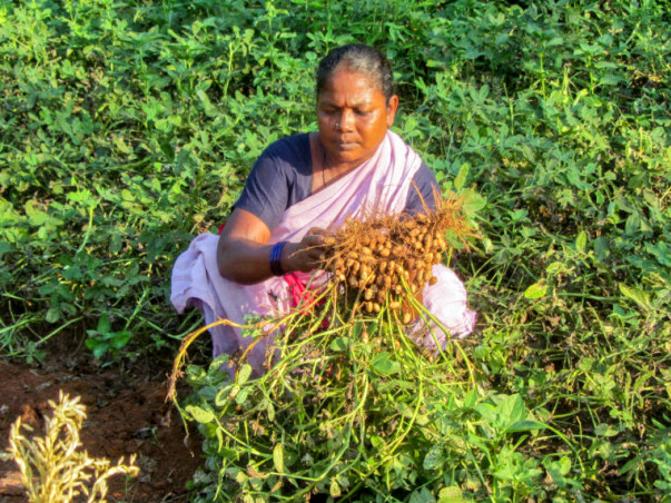 Help Farmers And Hawkers To Raise Their Livelihood