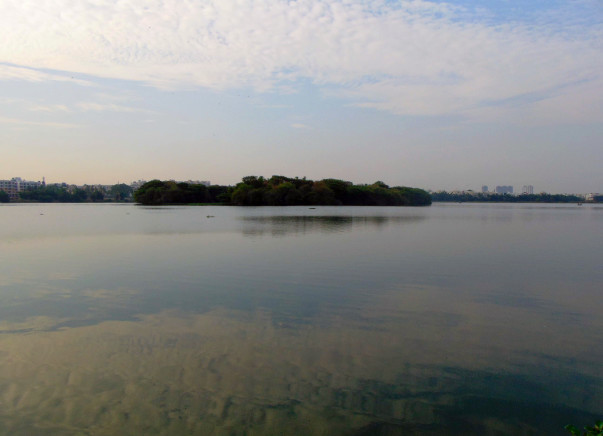 Nandi Hillathon: Restoration of Madiwala Lake, BTM Layout