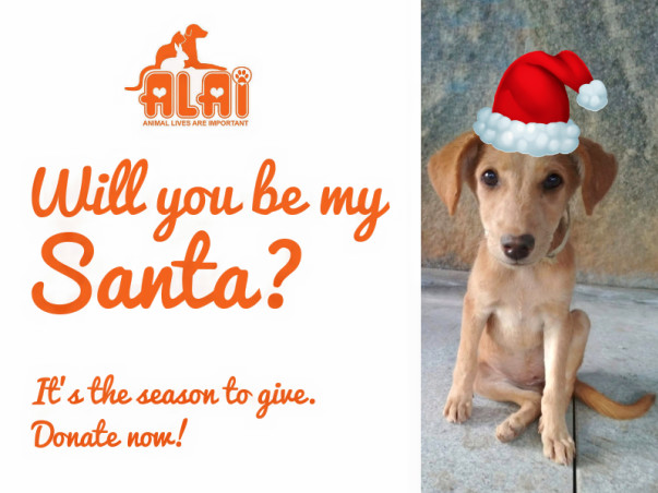 Be the Santa for ALAI Rescues!