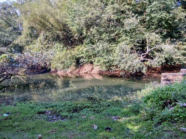 Help Clean The Dhobagadia Lake, The Source Of Life To Many