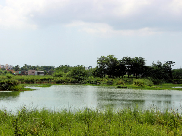 I am fundraising to restore the Perumbakkam lake in Chennai and revive the lost biodiversity of the lake