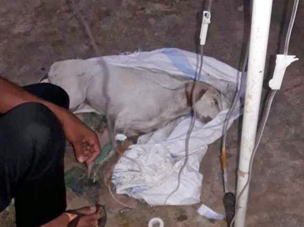 Help Renu for a new life.