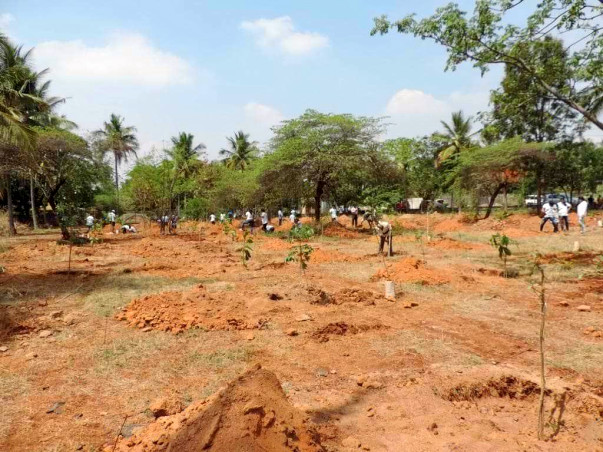 Nandi Hillathon: Improving green cover in HSR Layout