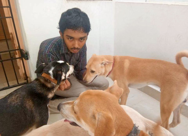 Help Sai Vignesh Pay The Vet Bills For His Rescued Animals