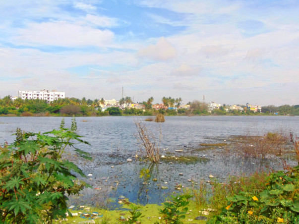 Peace Ride: Restoration of Horamavu Lake, KR Puram