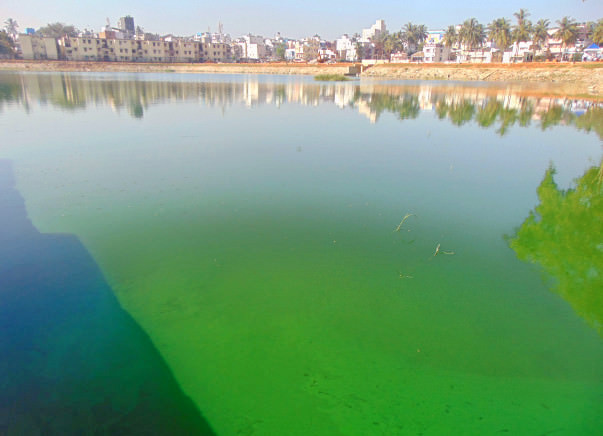 Peace Ride: Restoration of Byrasandra Lake, Jayanagar