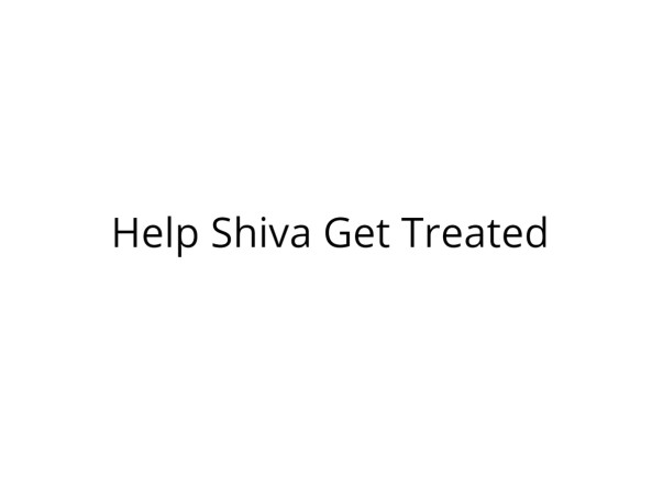Help Shiva Recover from Severe Injuries