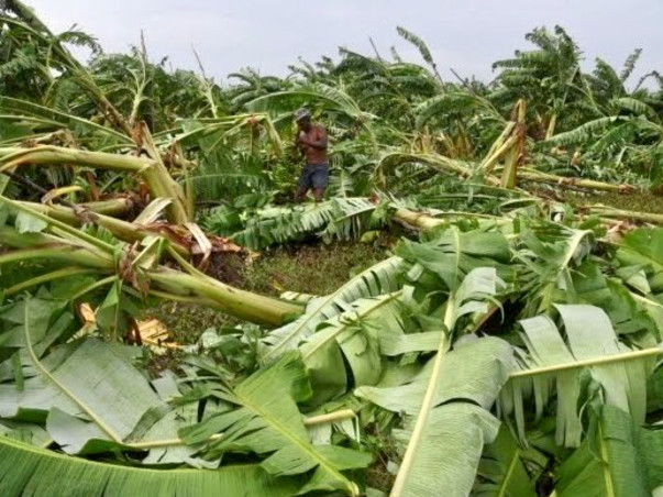Gaja Storm Disaster Fund Relief
