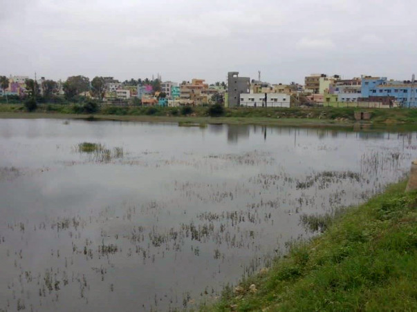 Peace Ride: Devasandra Lake Rejuvenation, K.R.Puram