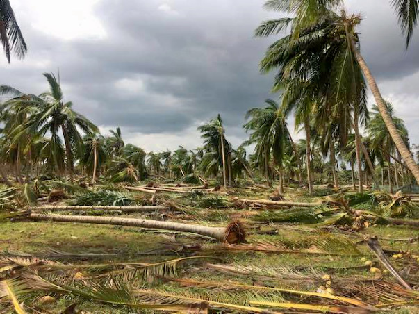 Gaja Cyclone Relief - Farmers Cauvery Delta Region in Tamilnadu