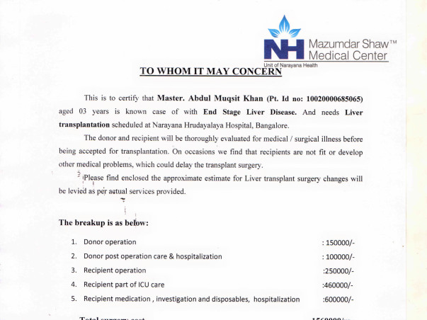 Help me fundraise for my 3 year old son's liver transplant