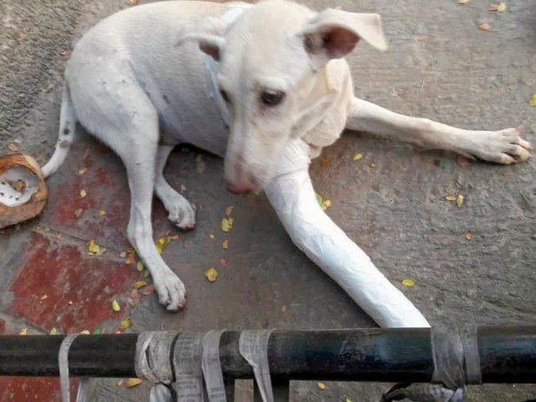 An Accident Has Crippled Gauri And She Needs Help To Run Again