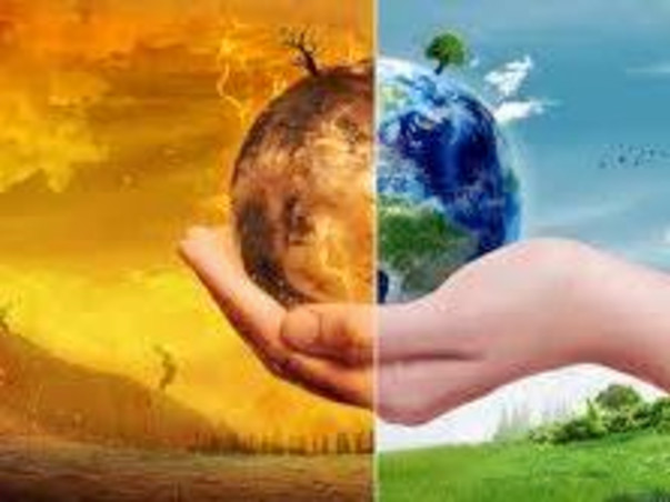 Help To Save Tree & Fight Global Warming